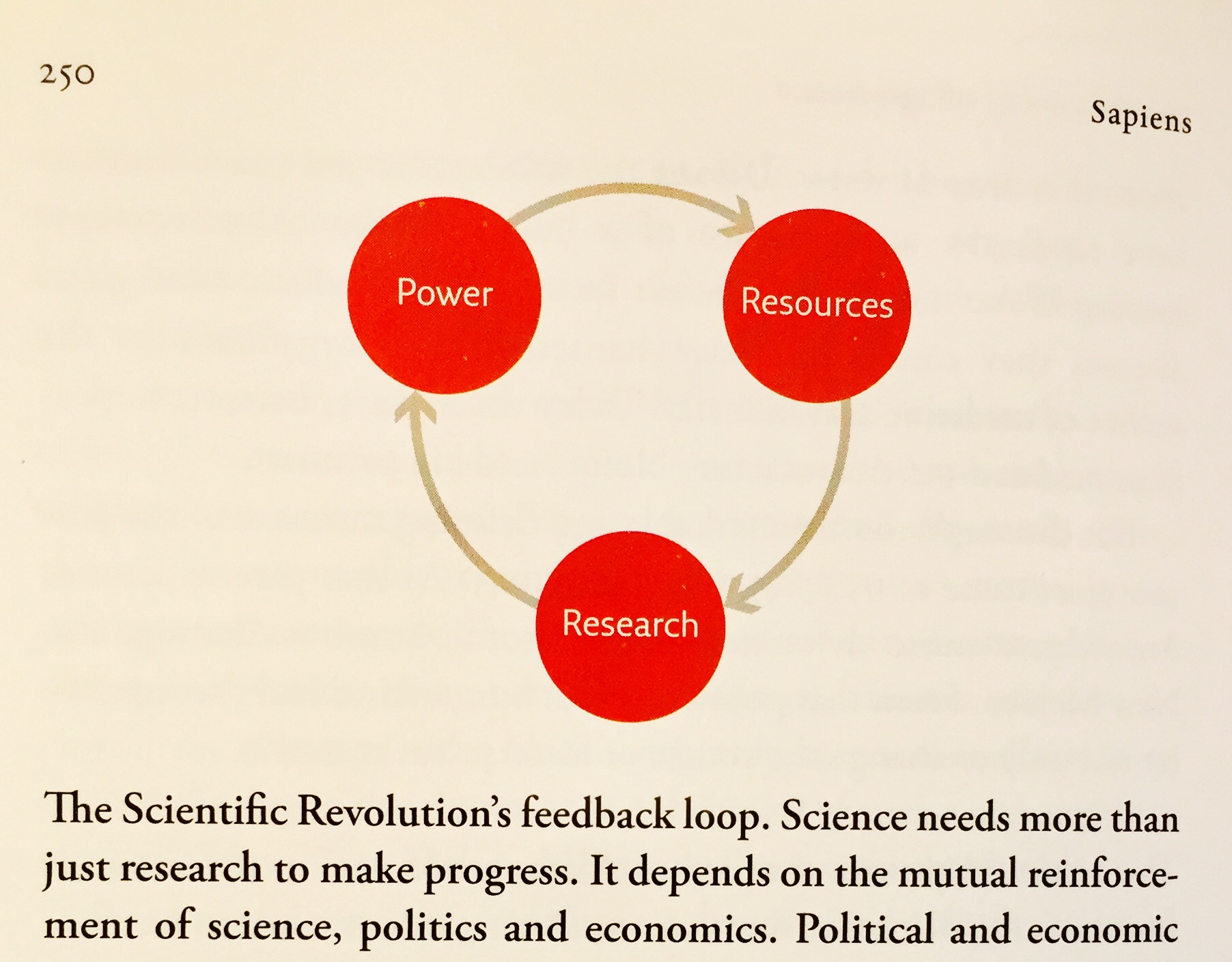 FullSizeRender 3.jpg